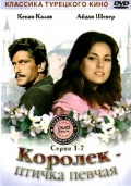 Смотреть онлайн Королек – птичка певчая 5 серия