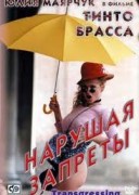 Смотреть онлайн Шалунья